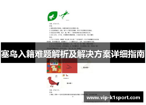 塞鸟入籍难题解析及解决方案详细指南